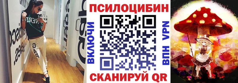 где найти   Цивильск  даркнет клад  Псилоцибиновые грибы MAGIC MUSHROOMS 