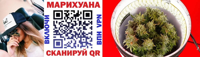 Бошки Шишки семена Цивильск